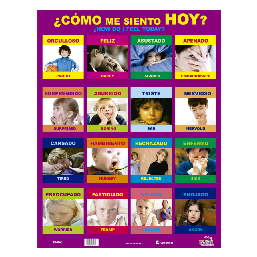 Lamina Las Emociones