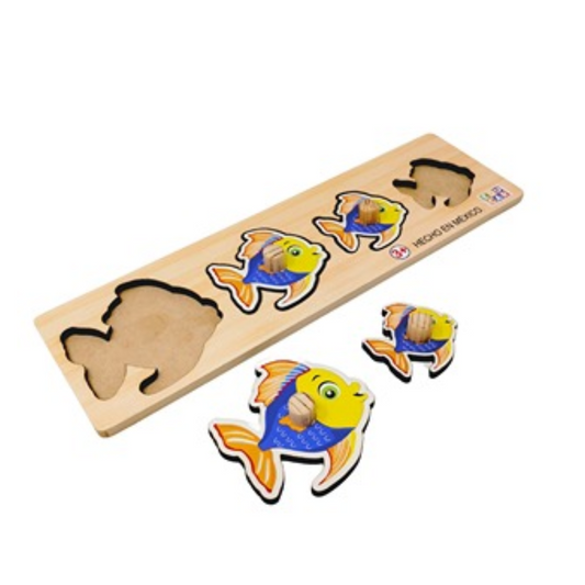 Resaques Secuencia Varios Modelos