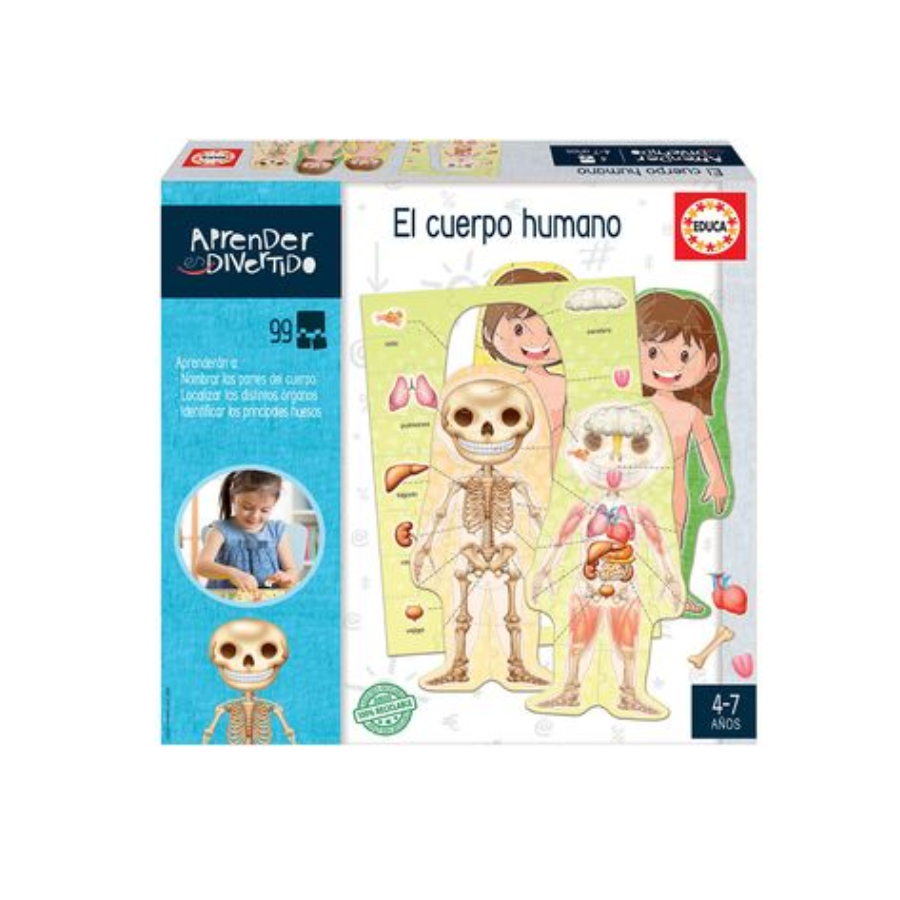 Aprender Es Divertido El Cuerpo Humano