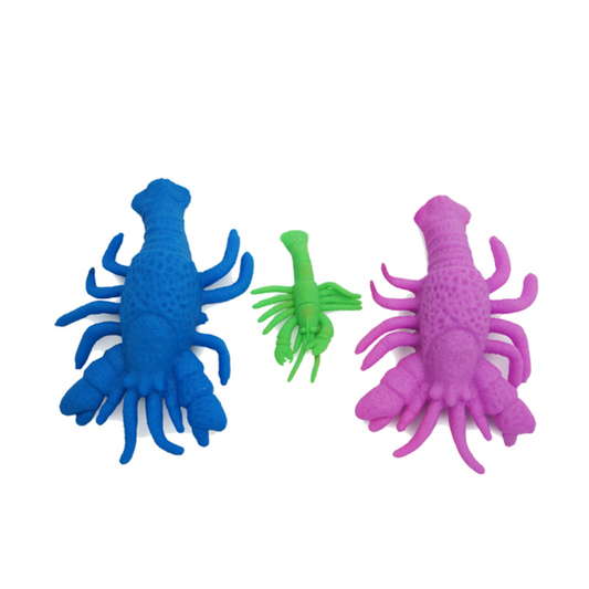 Animales acuáticos expandibles