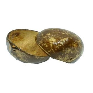 Cocos hawaianos infantil