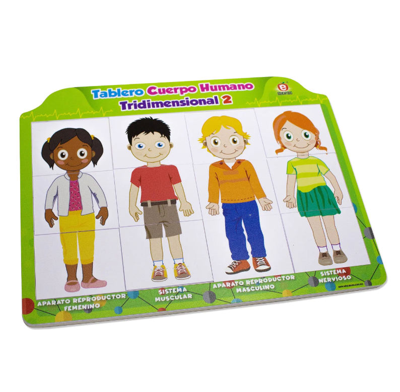 Tablero cuerpo humano tridimensional 2 modelos