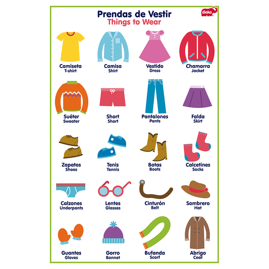 Lamina Plastificada Partes del cuerpo y prendas doble vista