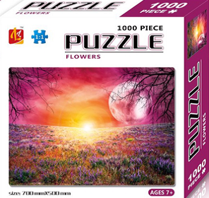 Soñando con la luna 1000 ´z