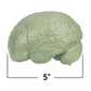 Modelo 3D Cerebro Humano